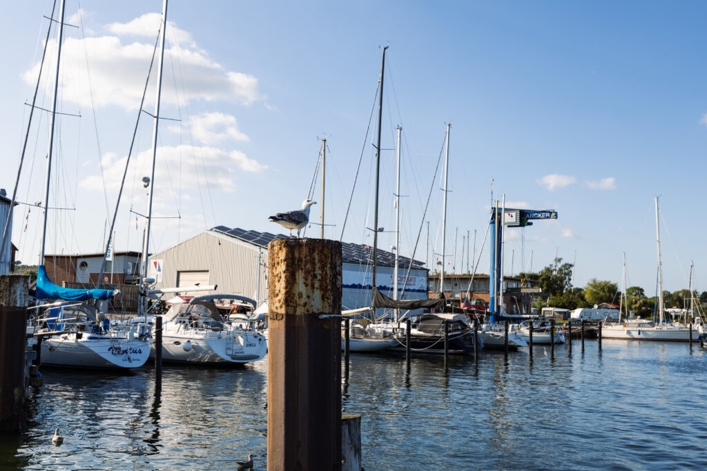 Kappeln, Segeln, Motorboot, Yacht mieten,Möwe, Gästehafen, Kran, Poller